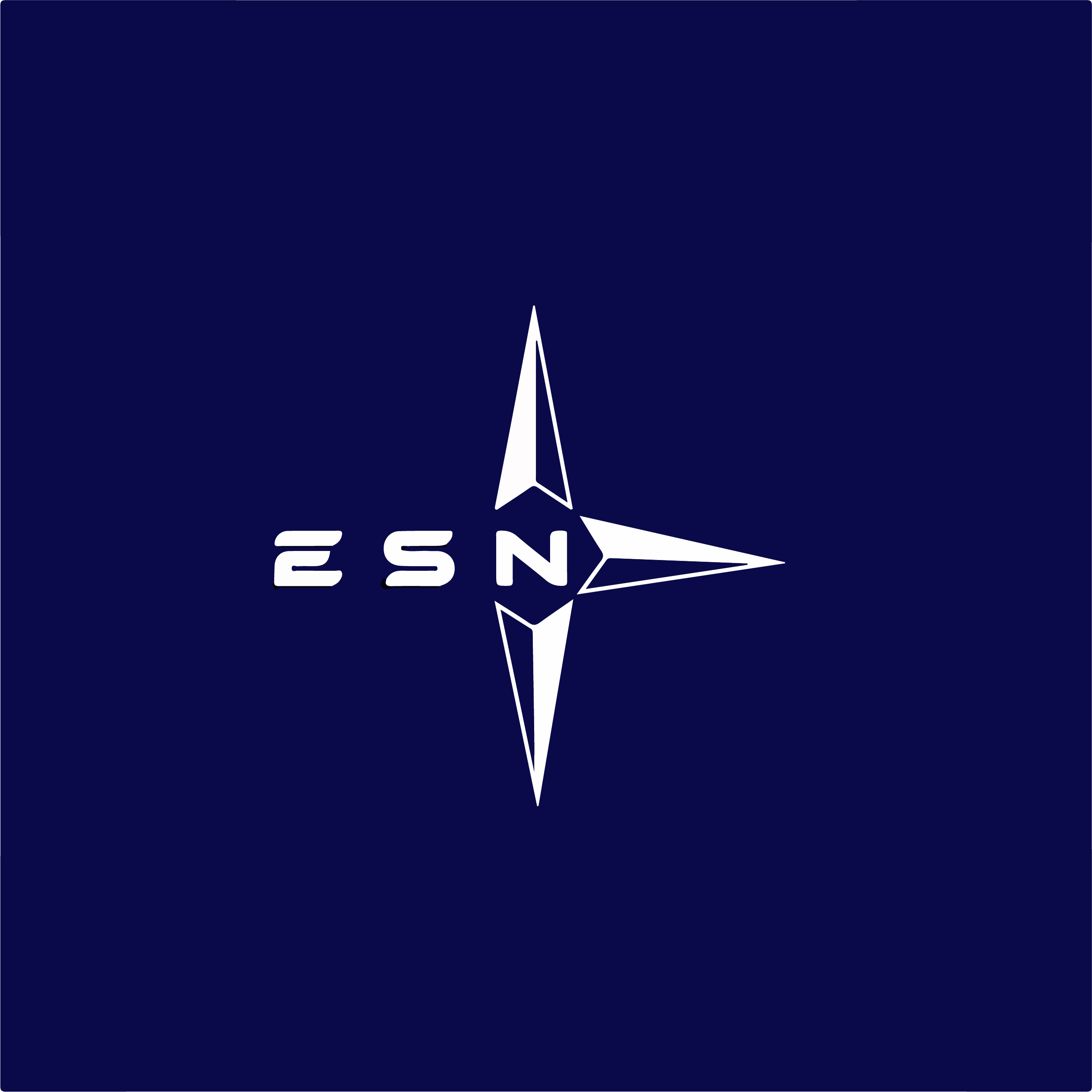 logo-esn-BLEU2
